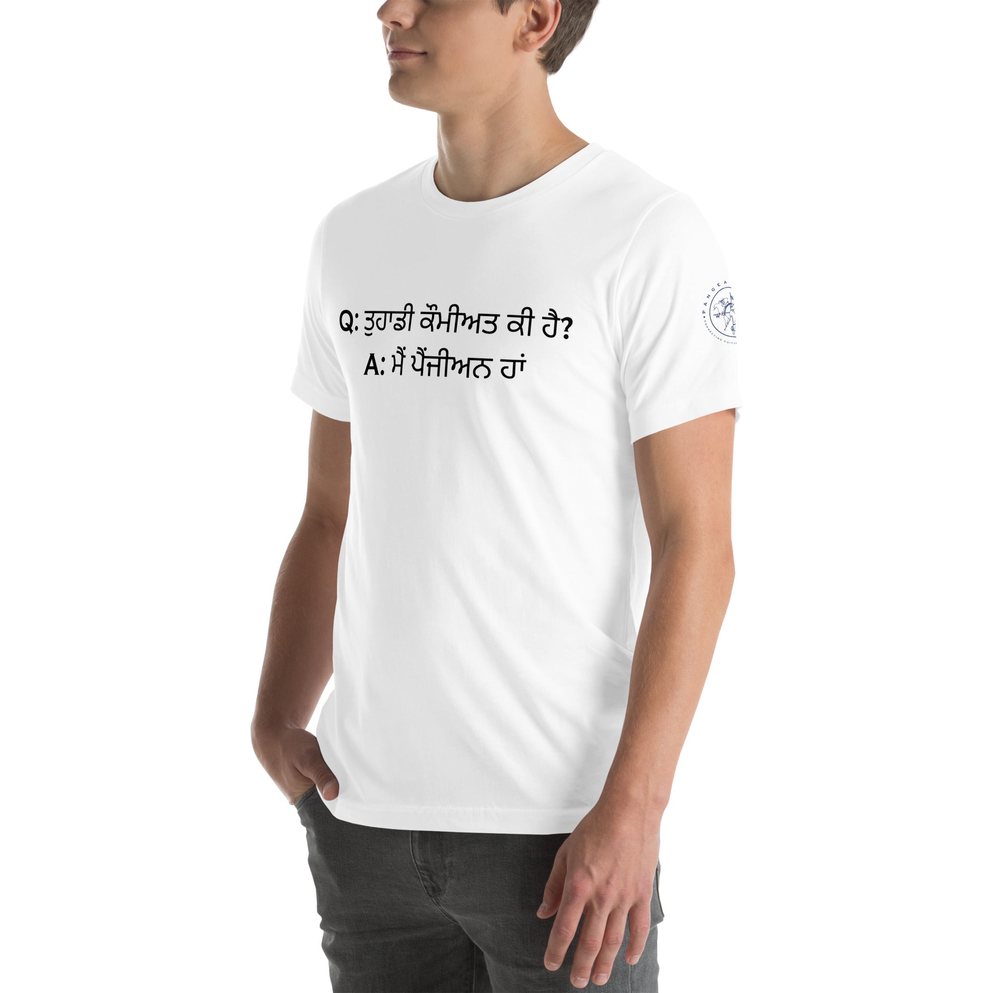 Q:A (Punjabi) Unisex t-shirt